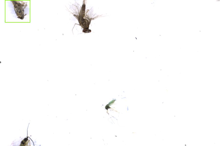 Image 6